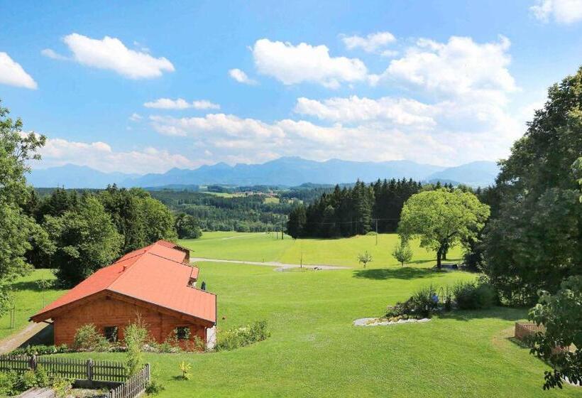 Номер Стандарт, Lamplhof