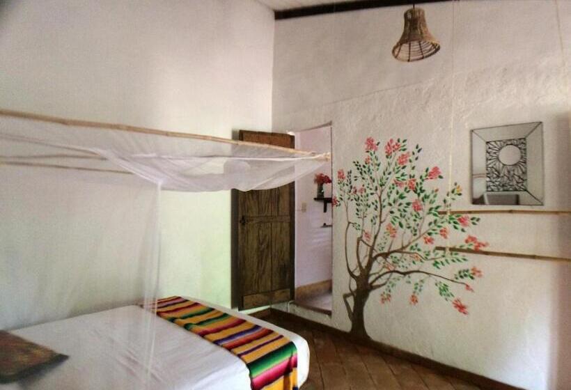 Номер Стандарт, Posada Mexico