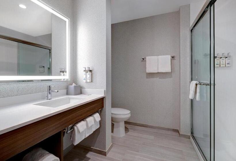 Номер Премиум, Holiday Inn Express & Suites   Glendale Downtown
