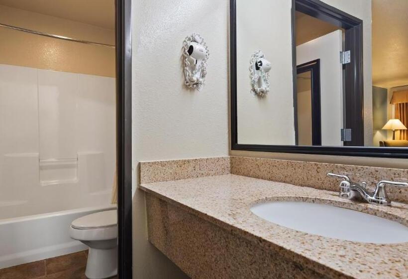 Стандартный Номер Кровать Кинг, Best Western Regency Inn & Suites