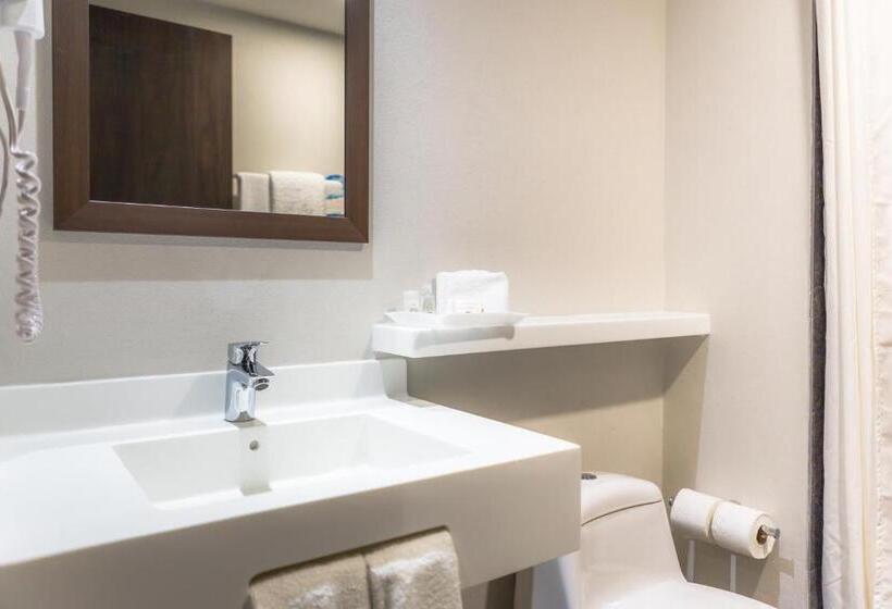 Standard Room, Sleep Inn Guadalajara Galerias