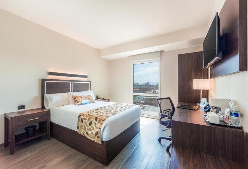 Standard Room, Sleep Inn Guadalajara Galerias