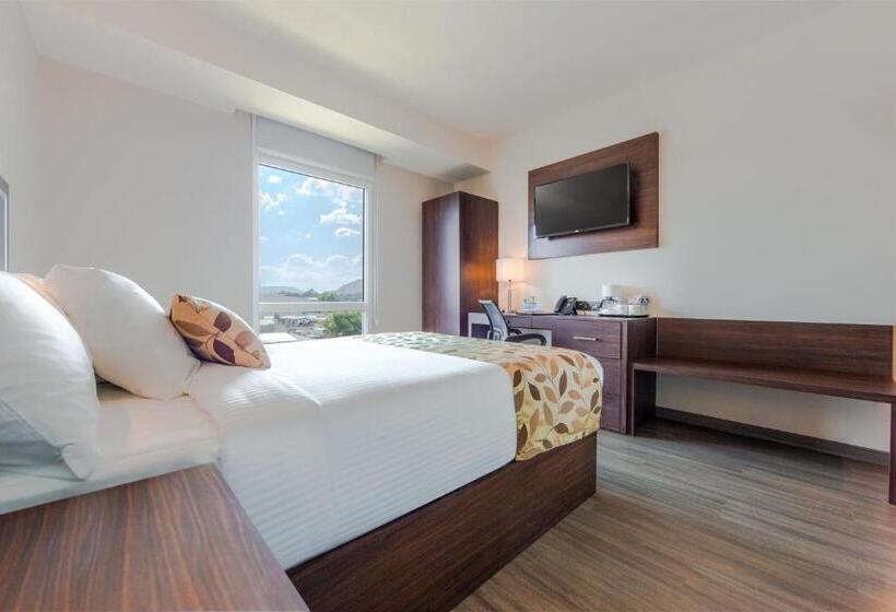Standard Room, Sleep Inn Guadalajara Galerias