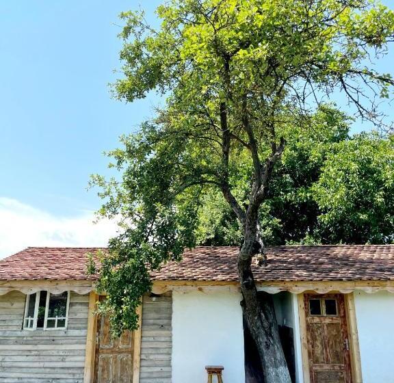 ویلای سوپریور 1 خوابه, Joyard   Pensiune & Parc