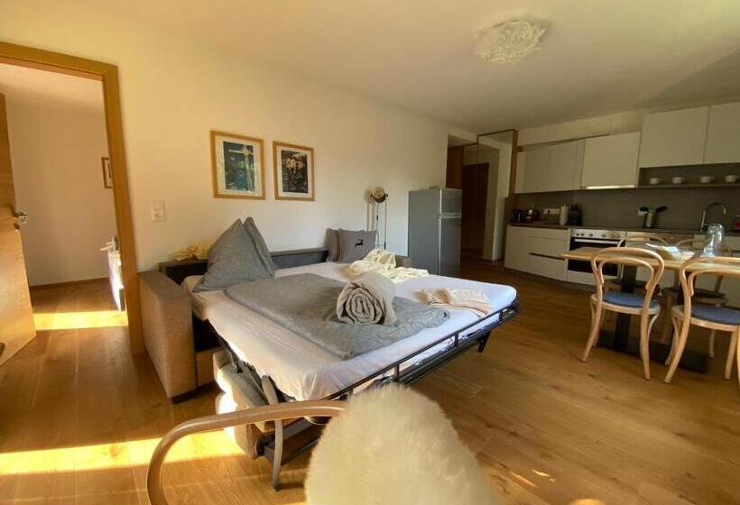 شقة ديلوكس غرفة واحدة, Apartments Hohenberger