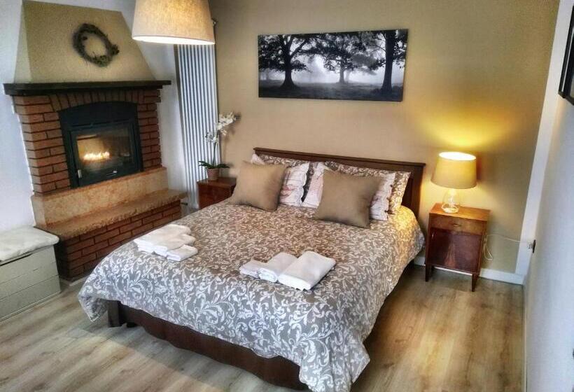 Апартаменты 1 Спальня Нижний Этаж, Casa Ronzani B&b
