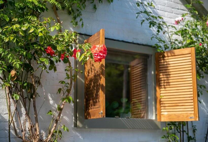 اتاق سوپریور با تخت بزرگ, Lodge & Loft