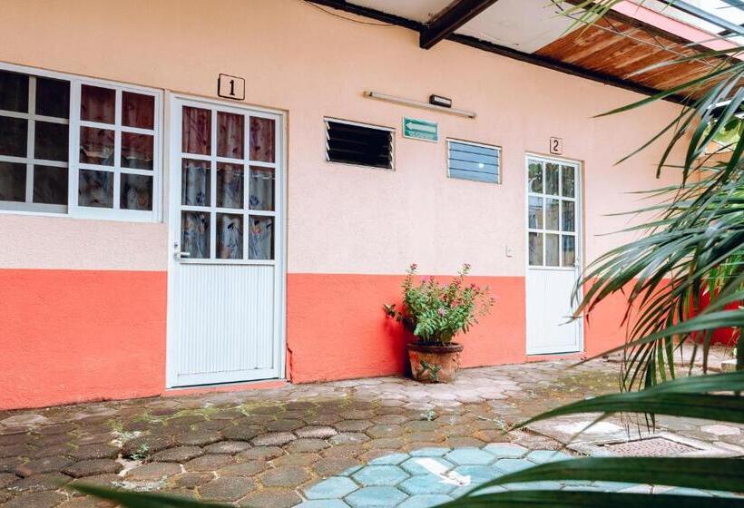 Quarto Estandar, Lekami