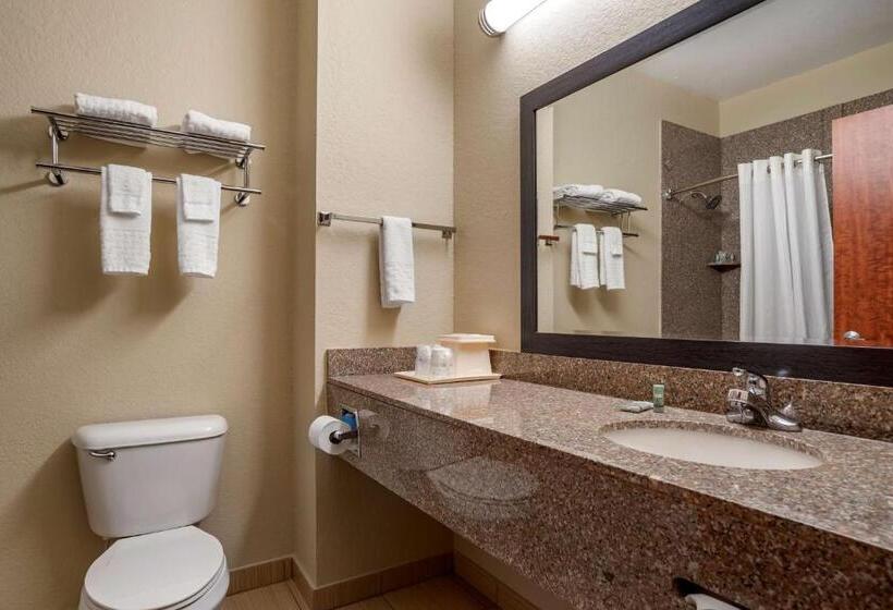 스탠다드 룸, Best Western Troy Inn