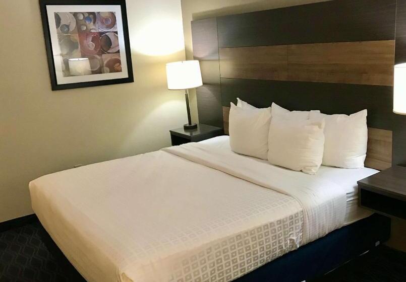 장애인을 위한 킹사이즈 침대 스탠다드 룸, Best Western Troy Inn
