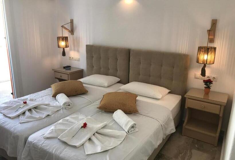 Номер Стандарт, Vassiliki Rooms