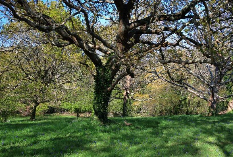Family Suite, Aux Arbres Chanteurs