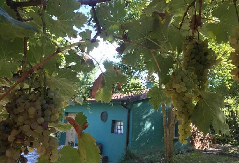 Студио Стандарт Вид на Сад, Casina Morgana B&b