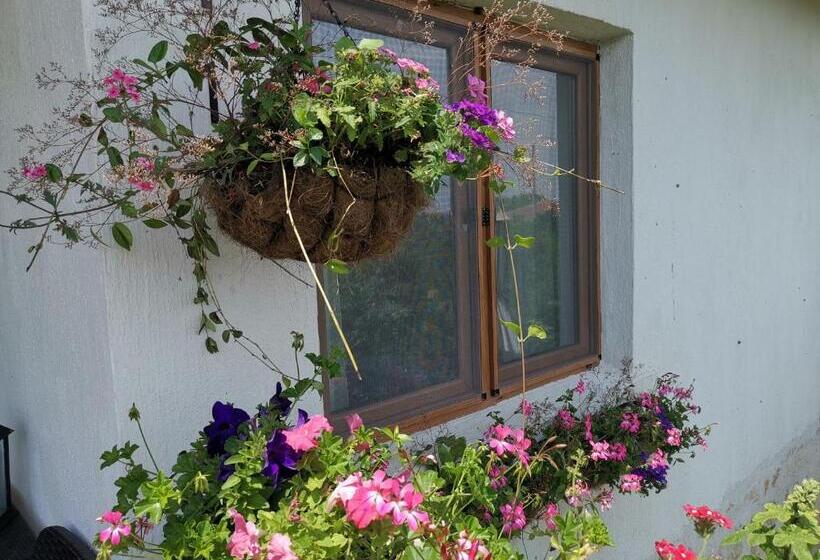 스탠다드 룸 킹사이즈 침대, House Albena