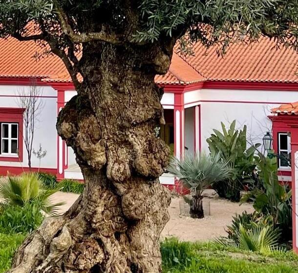 اتاق لوکس, Best Luxury Boutique B&b Vista Do Vale Tomar