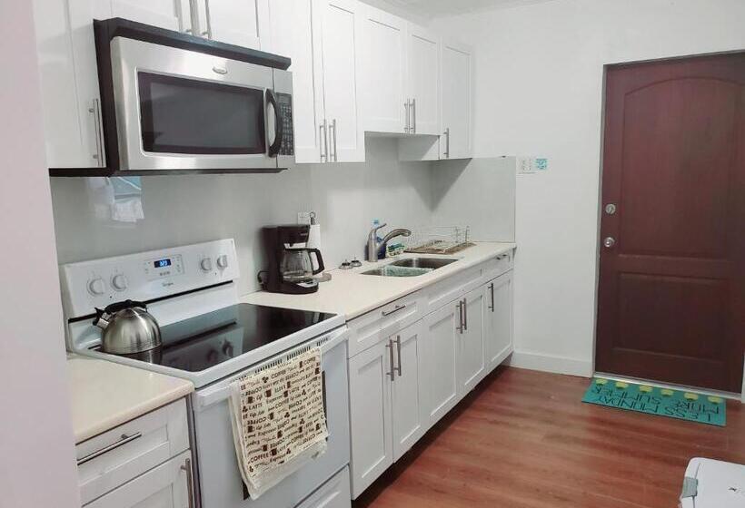 스탠다드 룸 가든 전망, La Villa Azul   A Beachy Stay In Miami