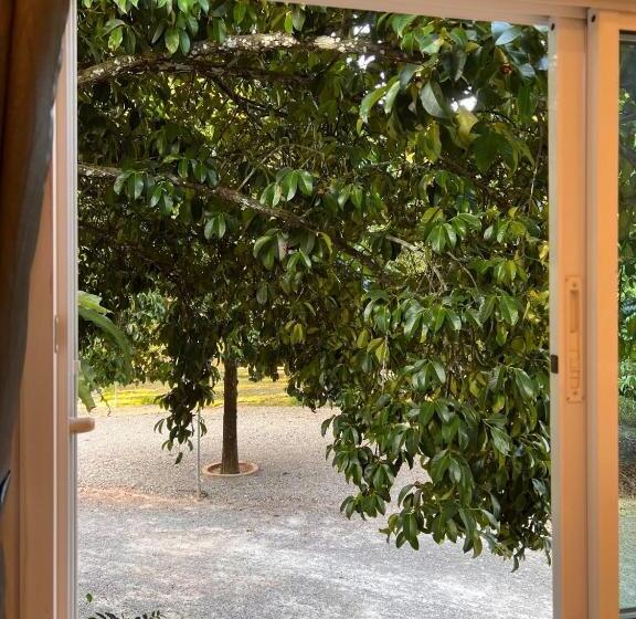 Номер Стандарт, Naisang Hostel