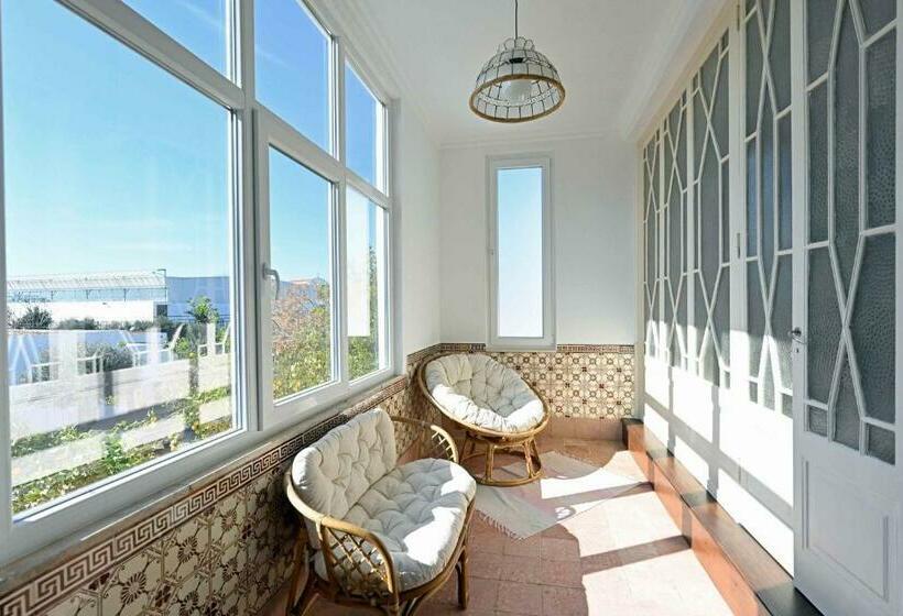 Апартаменты 1 Спальня с Террасой, Matriz Guest House