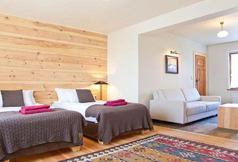 １ベッドルームアパートメント, Gleboczek Vine Resort& Spa