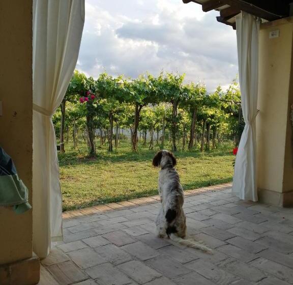 Номер Стандарт, B&b Conca Del Pretore