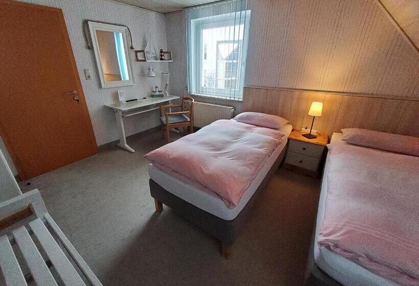 Номер Economy, B & B Gästehaus Schmidt