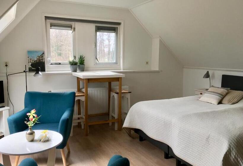 스탠다드 룸, De Borg Vakantie Appartementen