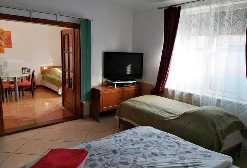 패밀리 스튜디오, Hostel Pascalis Alesd