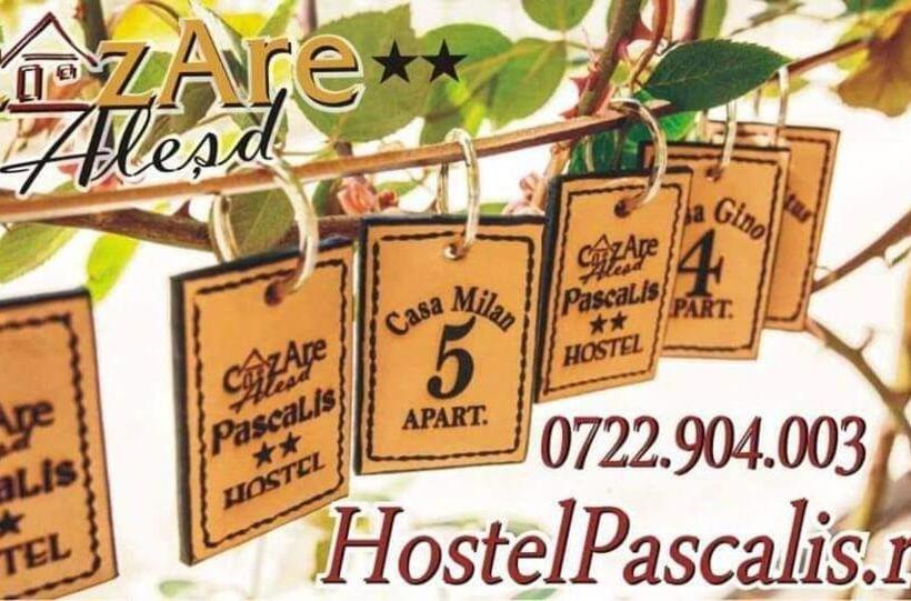 스탠다드 테라스 룸, Hostel Pascalis Alesd