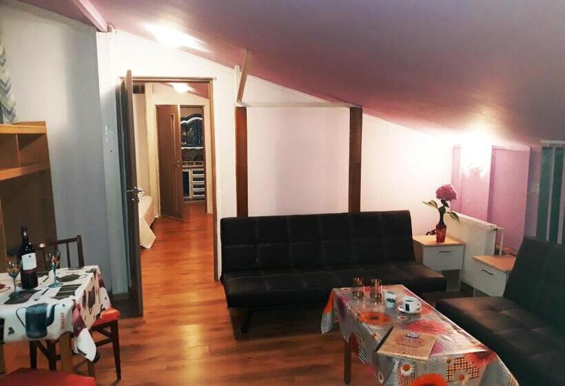 패밀리 스튜디오, Hostel Pascalis Alesd