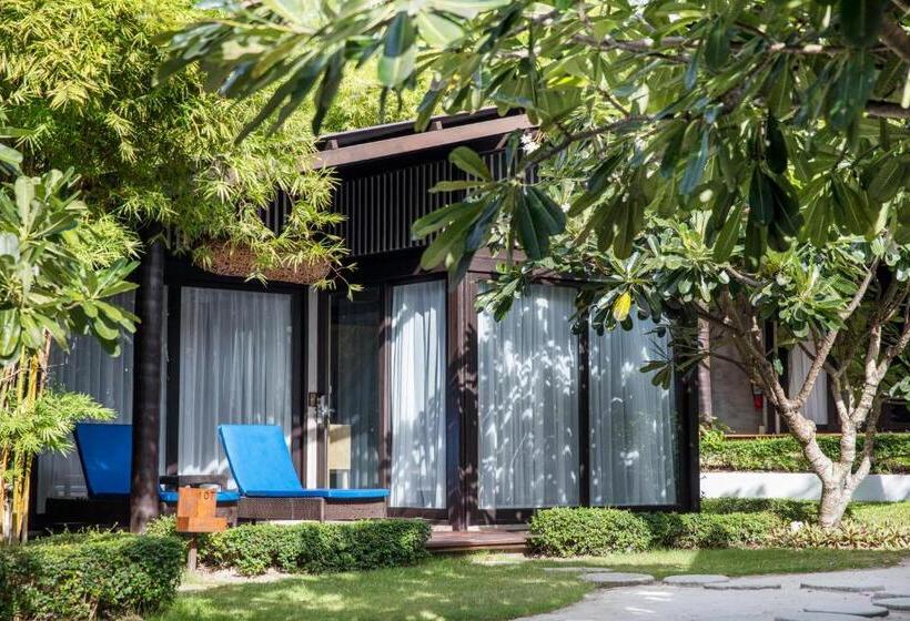 جناح, Homm Chura Samui