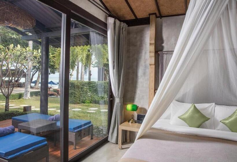 جناح, Homm Chura Samui