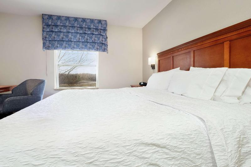 اتاق لوکس با تخت بزرگ, Hampton Inn & Suites Rockland
