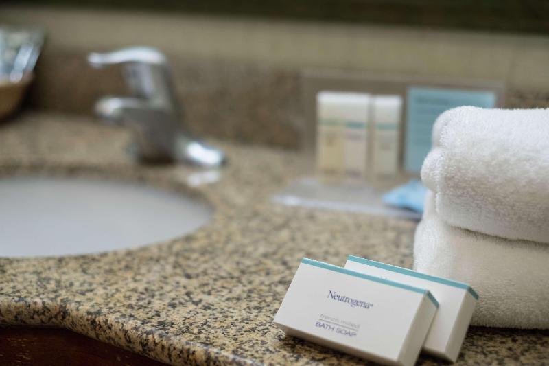 اتاق لوکس با تخت بزرگ, Hampton Inn & Suites Rockland