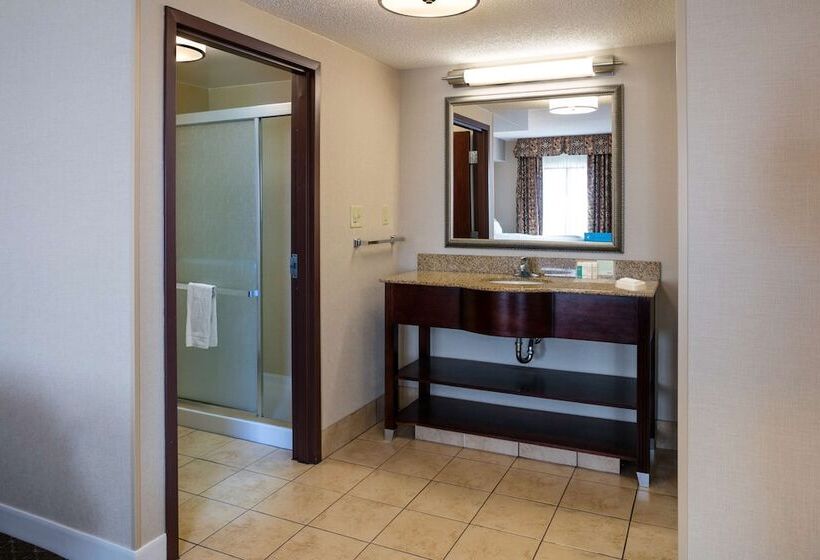 Студия Стандарт, Hampton Inn & Suites Toledoperrysburg