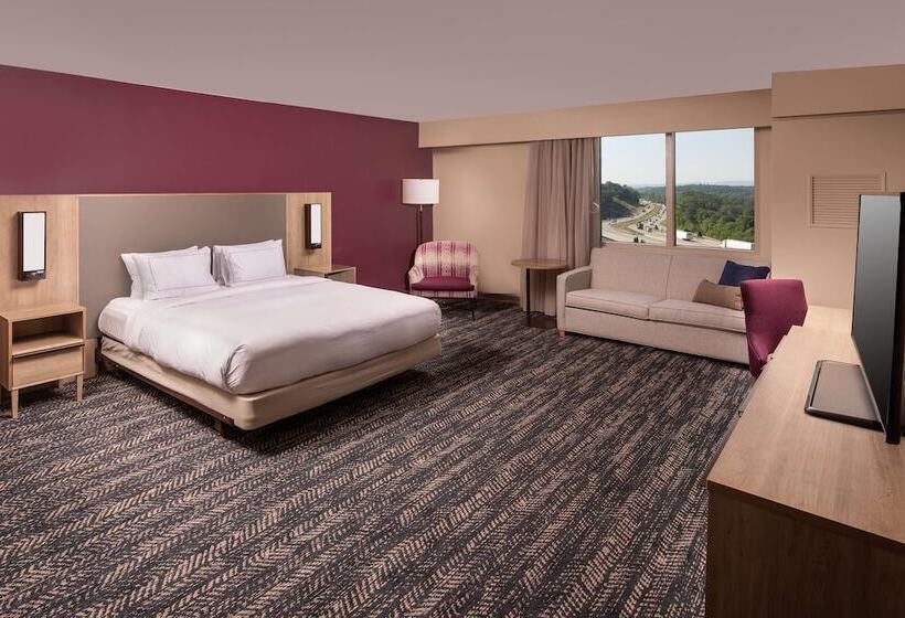 חדר סטנדרט מותאם לאדם עם מוגבלויות, Hilton Asheville Biltmore Park