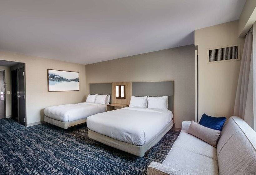 חדר סטנדרט, Hilton Asheville Biltmore Park