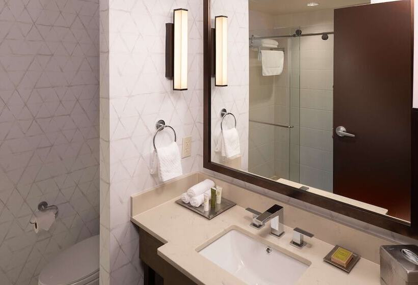 חדר סטנדרט מיטה זוגית, Hilton Asheville Biltmore Park