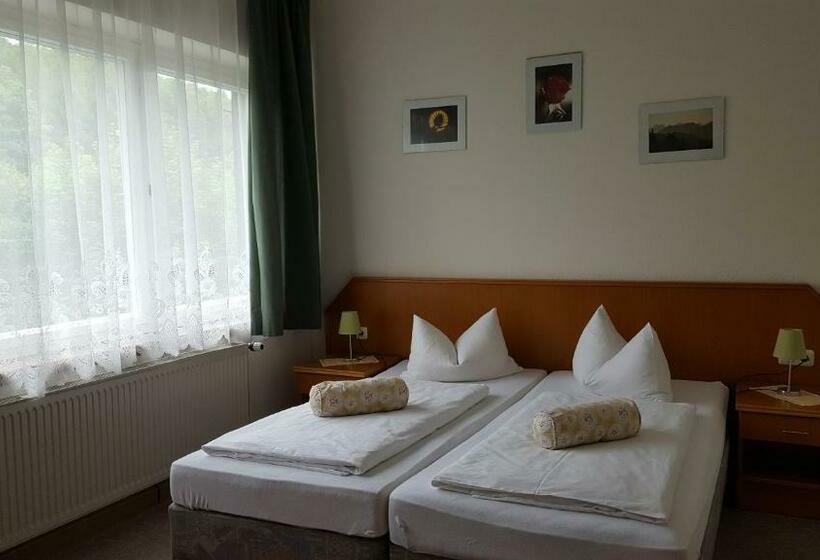 Номер Стандарт, Pension Waldfrieden