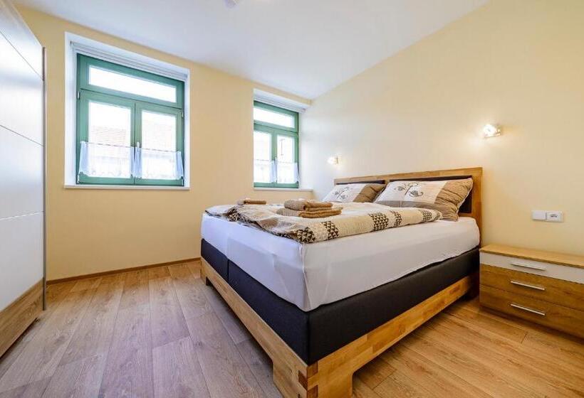 带1个卧室的豪华公寓, Slovanský Penzion