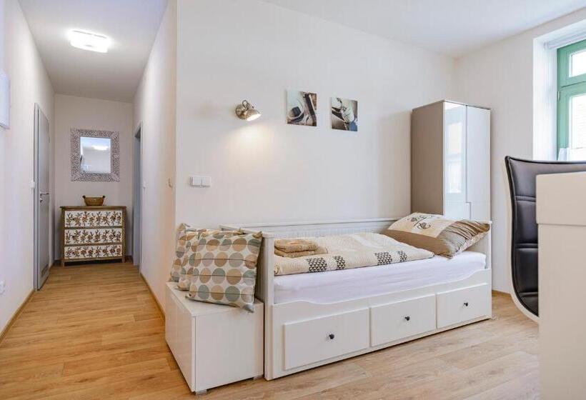 带1个卧室的豪华公寓, Slovanský Penzion