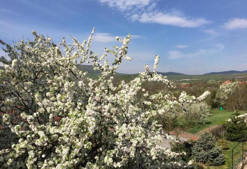 带观景的标准间, Provinum Borászat és Vendégház