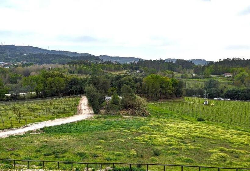 Номер Стандарт, Quinta Do Burgo   Nature