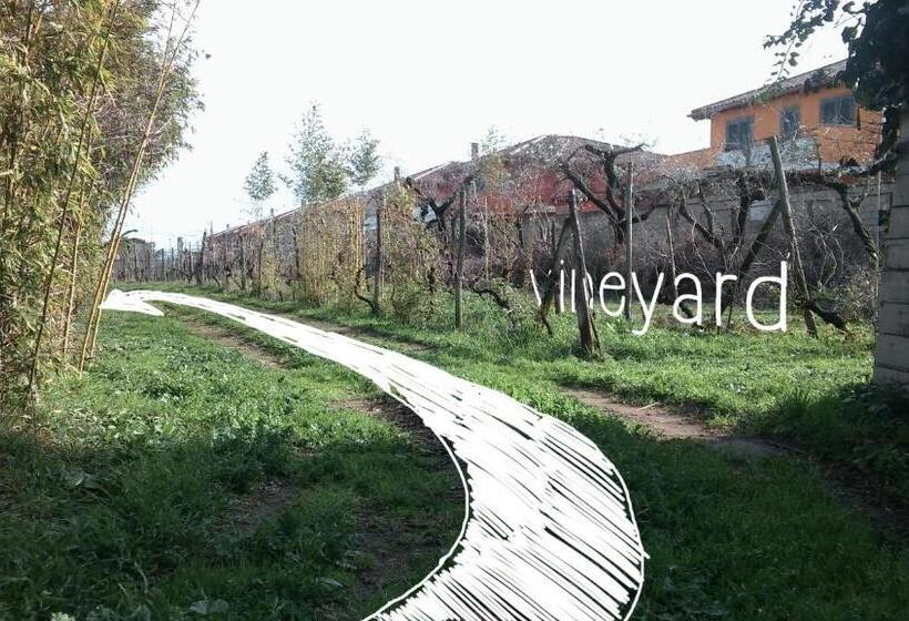 Номер Стандарт, La Quercia