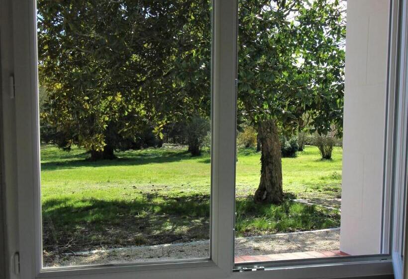 Номер Стандарт, Au Cocon De Sologne
