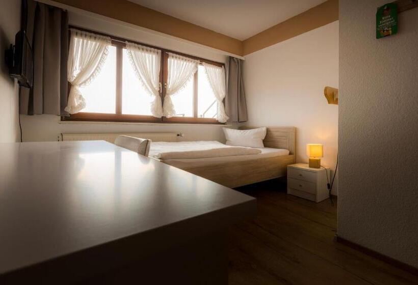 اتاق استاندارد یک نفره, Landgasthof Ritter