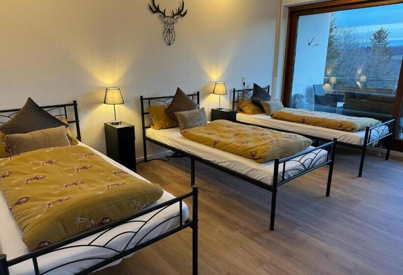 آپارتمان 1 خوابه با بالکن, Landgasthof Ritter