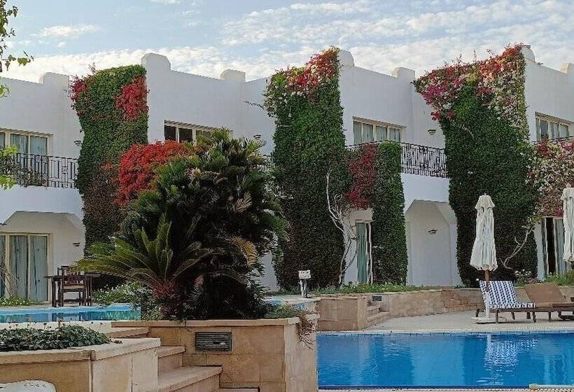 اتاق سوپریور با چشم‌انداز دریا, Eden Rock Hotel Namaa Bay