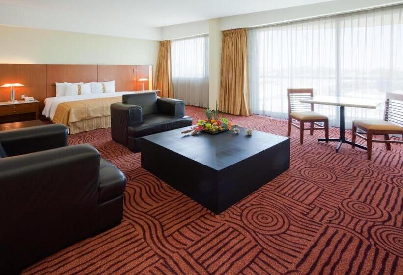 سوئیت جونیور با ماساژ آبی, Holiday Inn Puebla Finsa, An Ihg