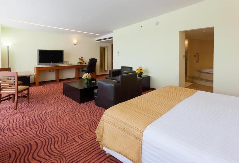 سوئیت جونیور با ماساژ آبی, Holiday Inn Puebla Finsa, An Ihg