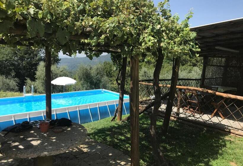 １ベッドルームアパートメント, Agriturismo Da Nonna Argia